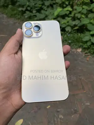Apple iPhone 13 Pro Max (Used)
