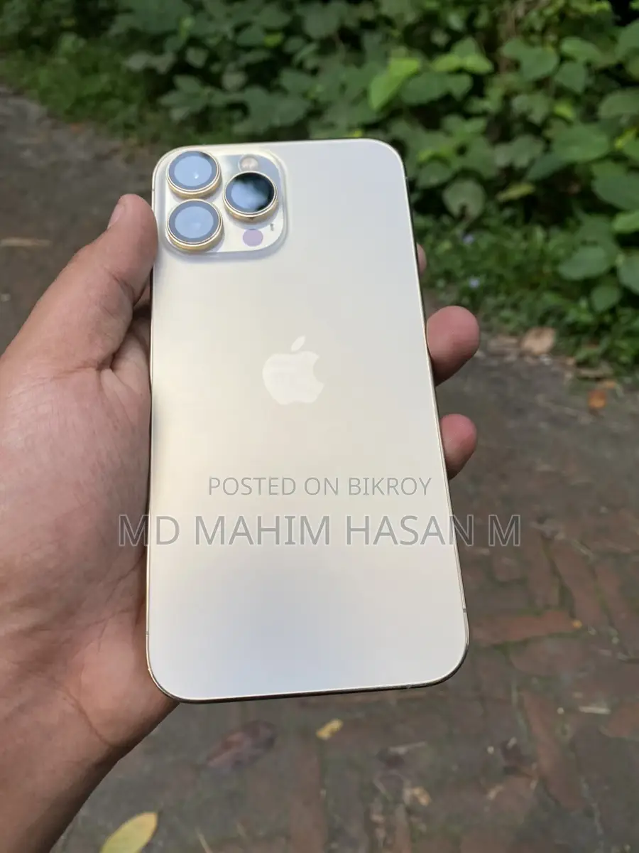 Apple iPhone 13 Pro Max (Used)