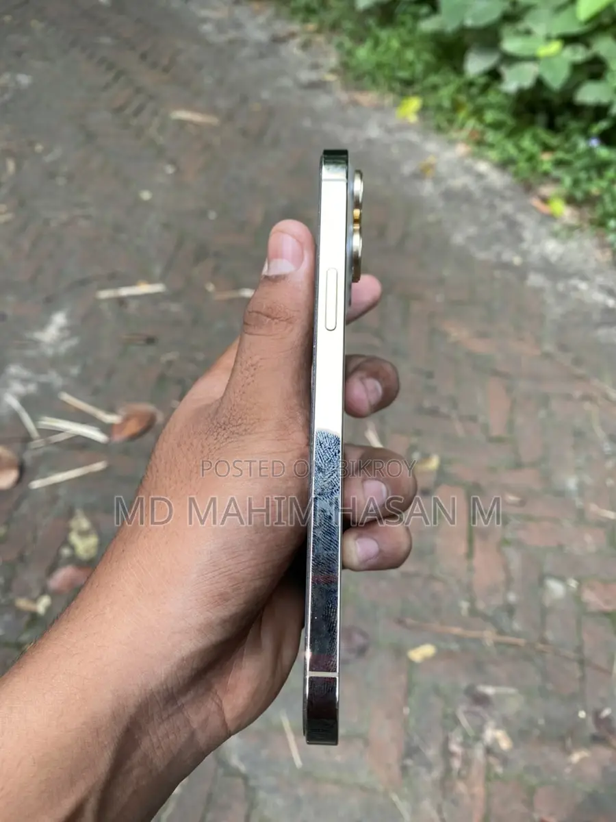 Apple iPhone 13 Pro Max (Used)