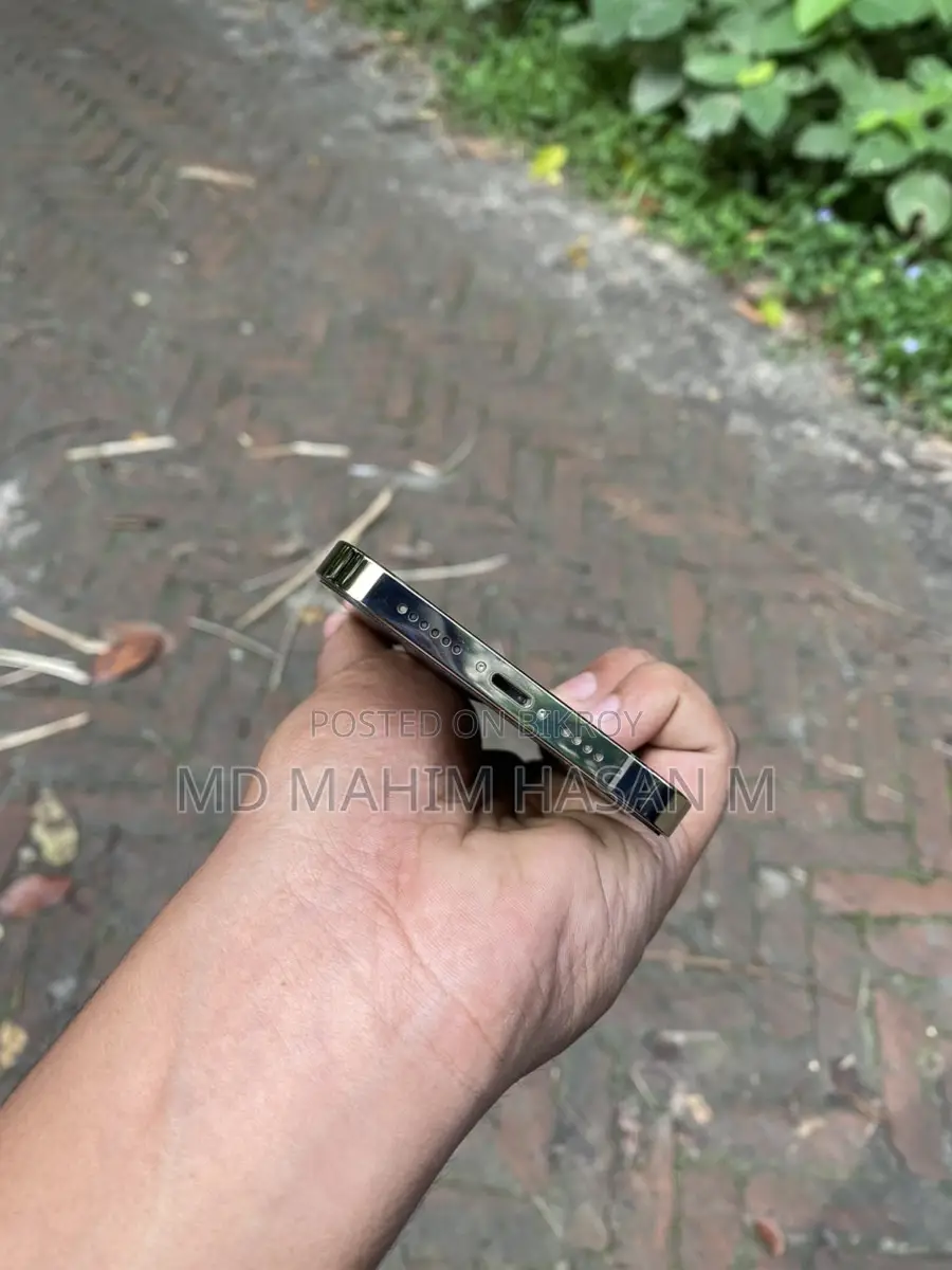 Apple iPhone 13 Pro Max (Used)