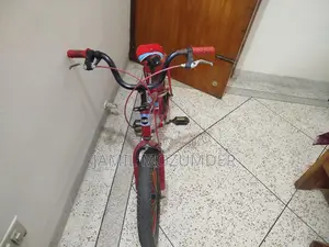 Awesome Bicycle