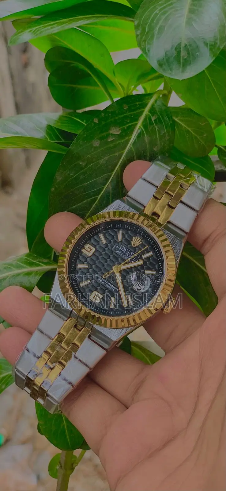 Rolex ঘড়ি নতুন ফিক্সড