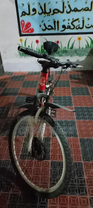 Selling my bicycle