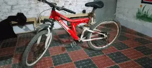 Selling my bicycle