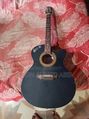Signature Guitar for Sale