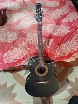 Signature Guitar for Sale