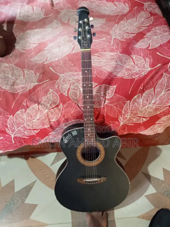 Signature Guitar for Sale