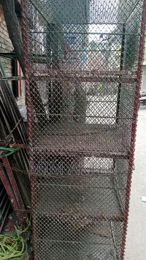 Bird Cage
