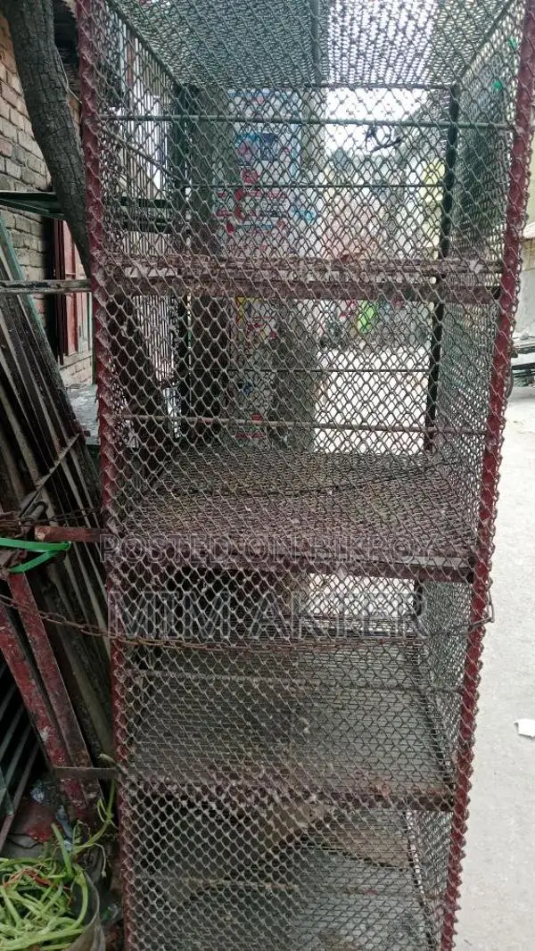 Bird Cage