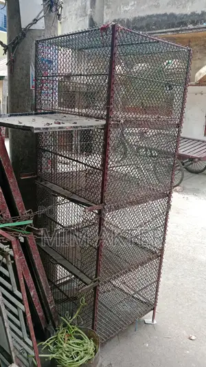 Bird Cage