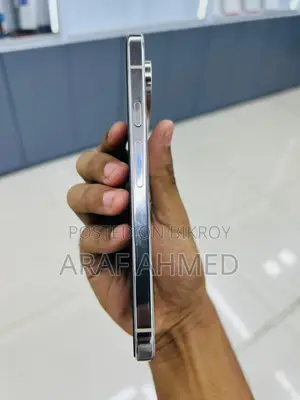 Google Pixel 9 pro XL . (Used)