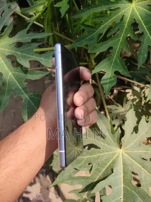 Google Pixel 7a (Used)
