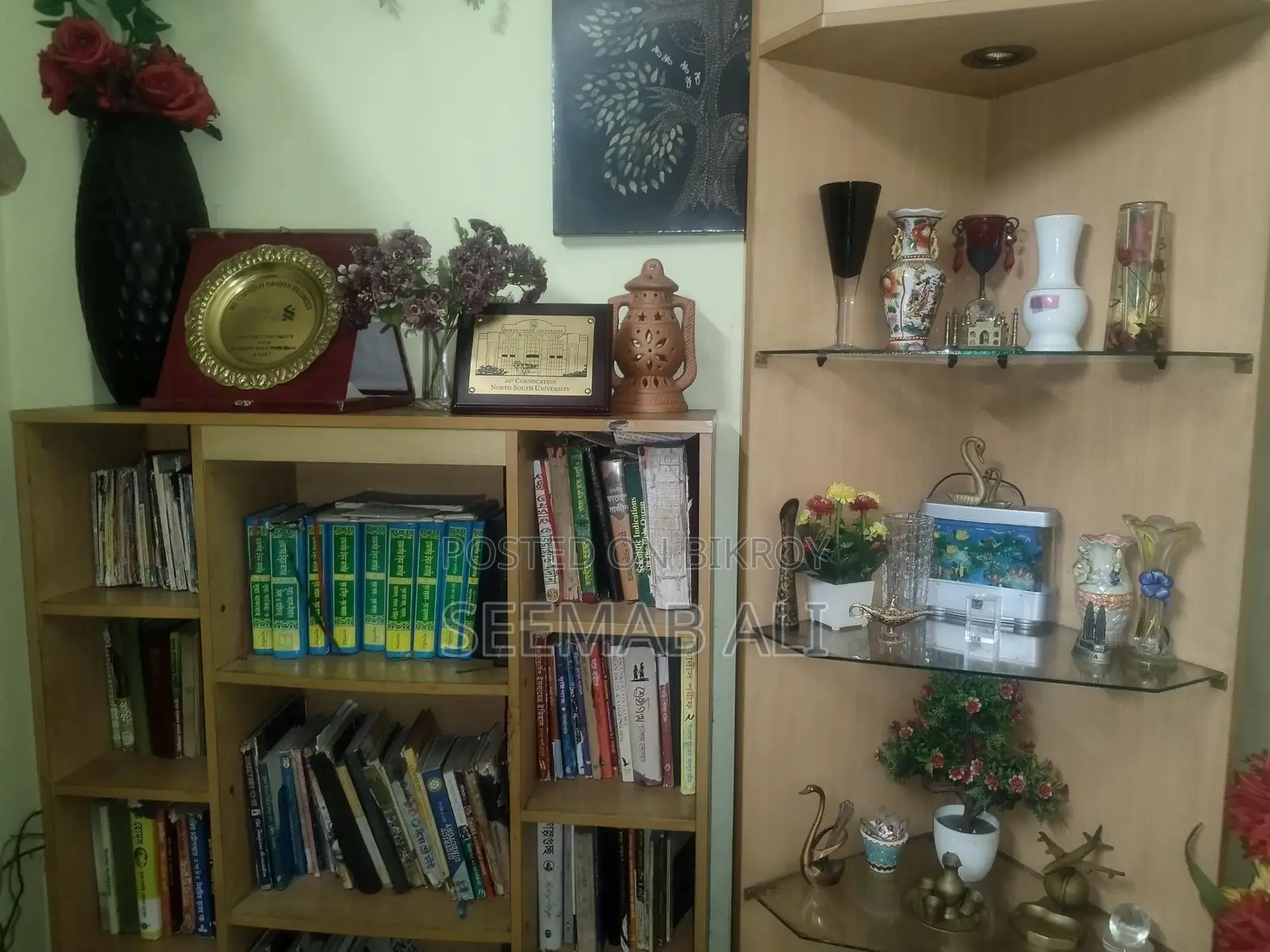 Otobi Book Shelf and Corner Showcase