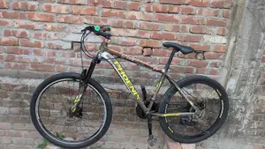 Cycle with Aluminum Body, Everything Works Perfectly