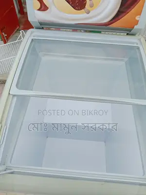 Ice Cream Freezer
