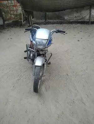 Hero Passion Pro 2004