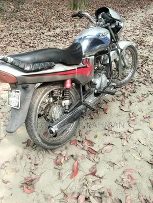 Hero Passion Pro 2004
