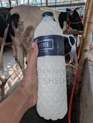 ১০০% খাঁটি গরুর দুধ