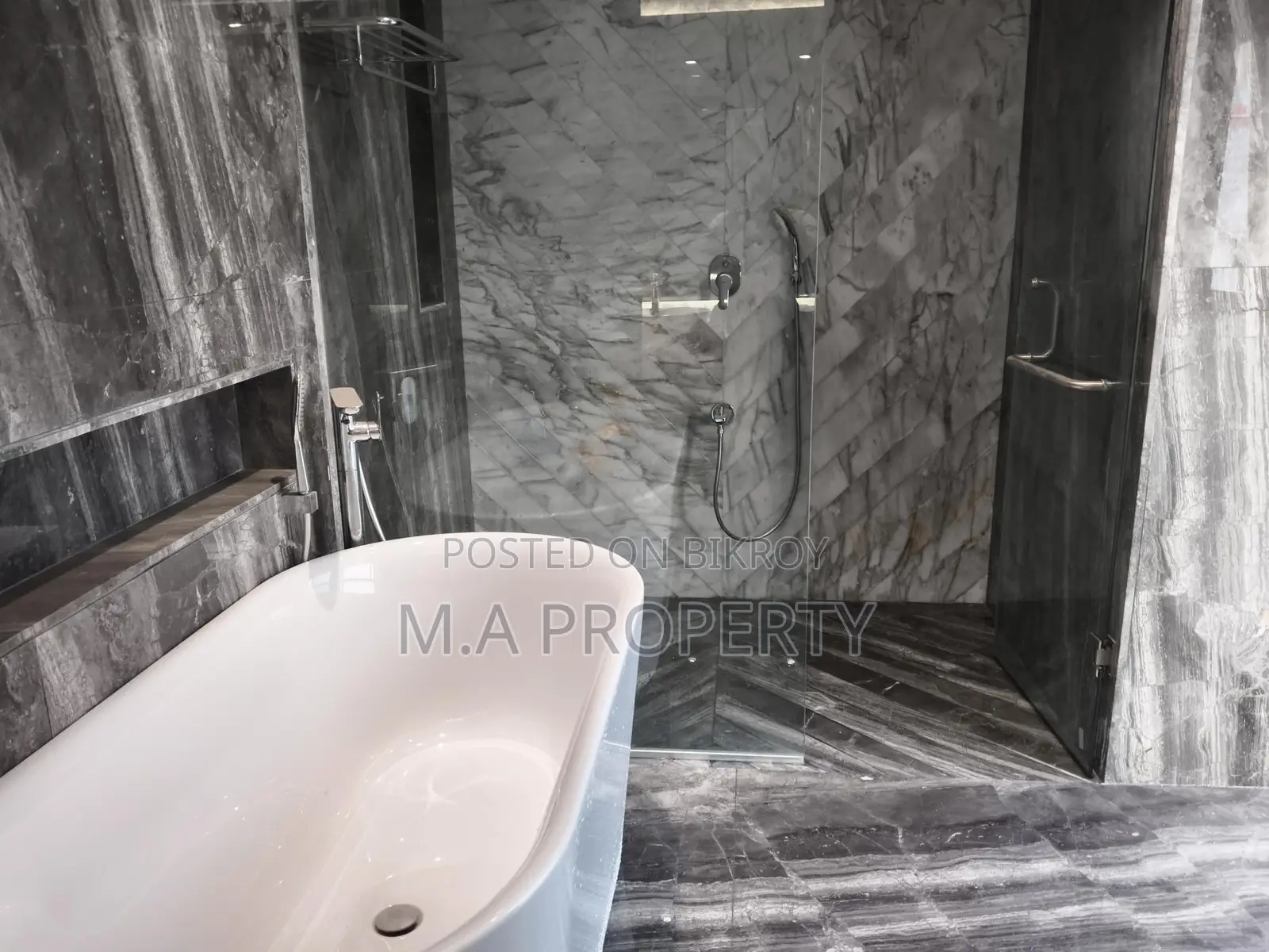 LUXURY APARTMENT RENT 7000SQFT BARIDHARA