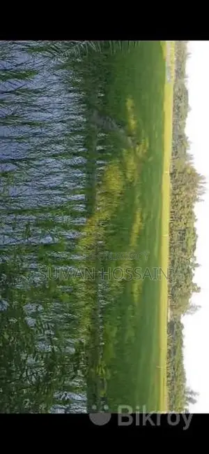 কৃষি ও আবাসিক এলাকার জমি বিক্রি
