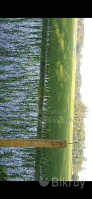 Agricultural and Residential Land for Sale