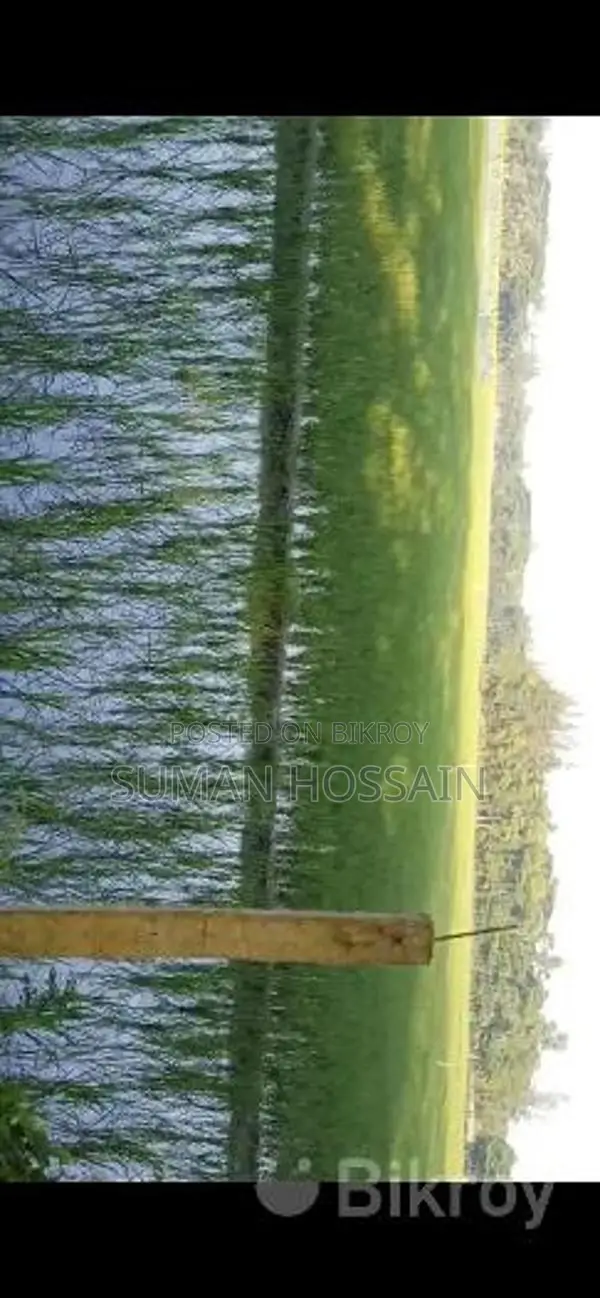 Agricultural and Residential Land for Sale