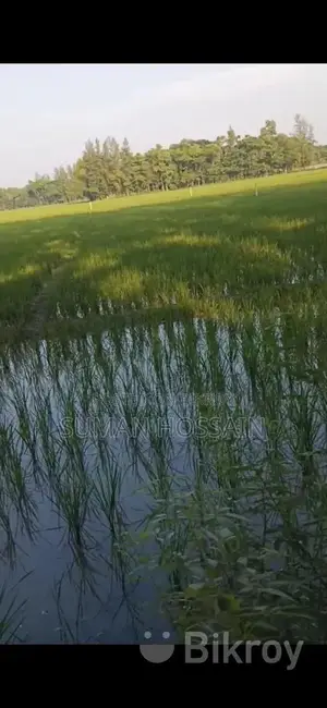 Agricultural and Residential Land for Sale