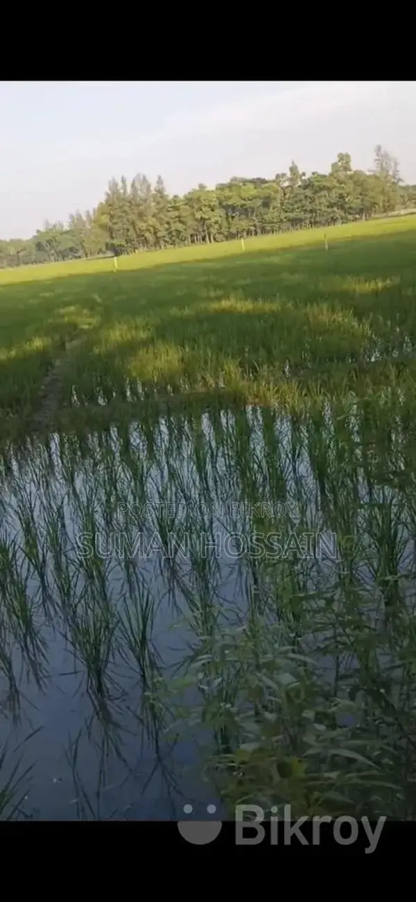 Agricultural and Residential Land for Sale