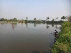 জমি বিক্রয় ১৬ বিঘা ১১ কাঠা প্রতি বিঘা=৫২ শতক