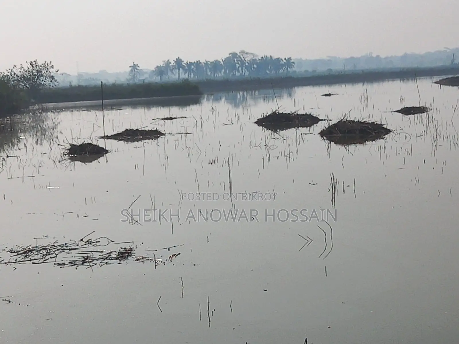 Land for Sale: 16 Bigha 11 Katha (52 Shotok per Bigha)