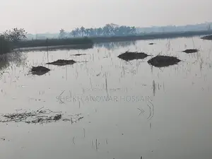 জমি বিক্রয় ১৬ বিঘা ১১ কাঠা প্রতি বিঘা=৫২ শতক