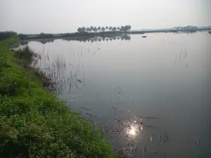 Land for Sale: 16 Bigha 11 Katha (52 Shotok per Bigha)