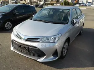 Toyota Axio EX 2020