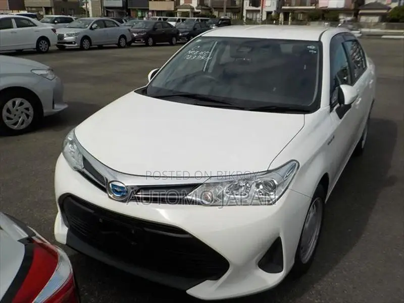 Toyota Axio EX 2020