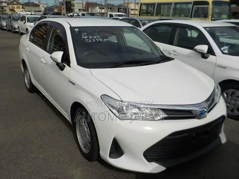 Toyota Axio EX 2020