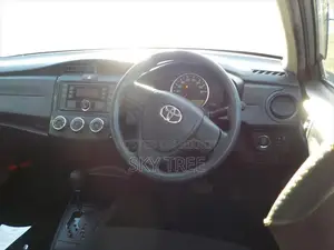 Toyota Axio e X package 2020