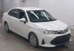 Toyota Axio EX HYB 4.5 POINT 2020