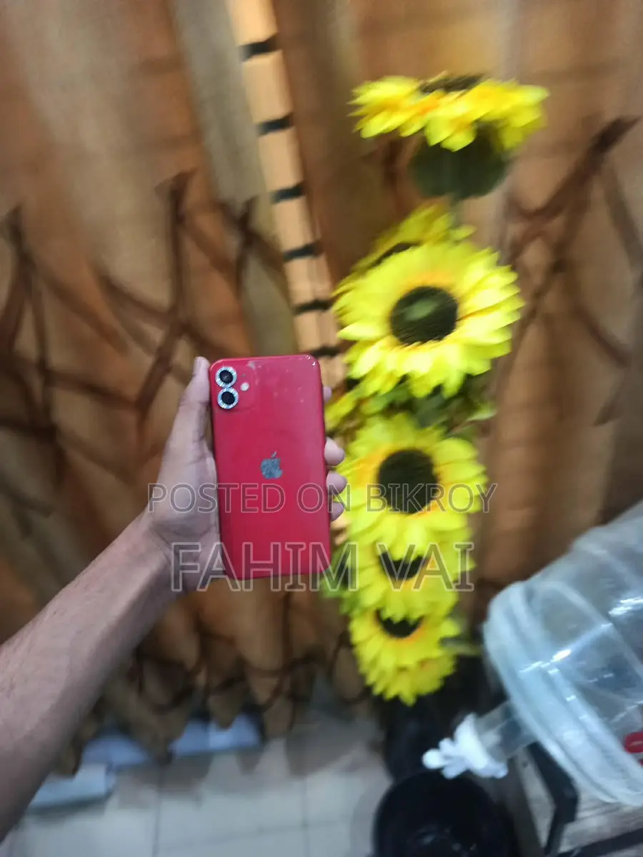 Apple iPhone 11 (Used)
