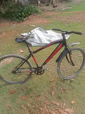 Bicycle for sale