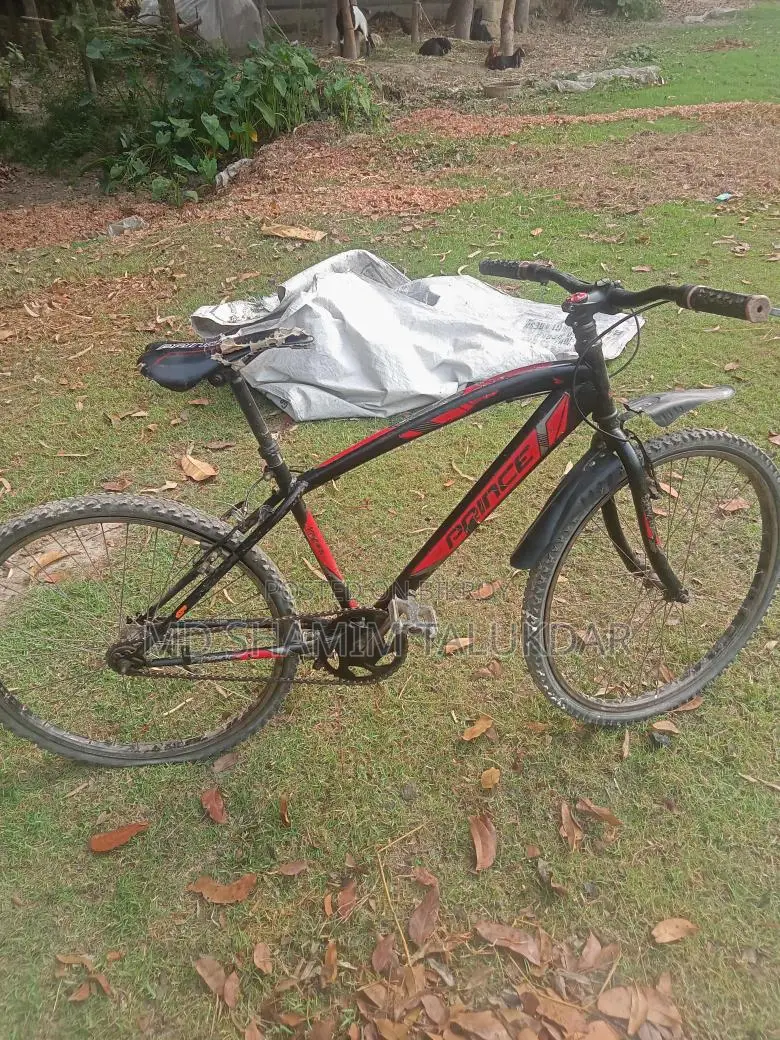 Bicycle for sale
