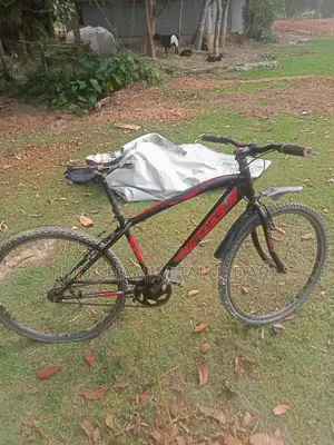 Bicycle for sale