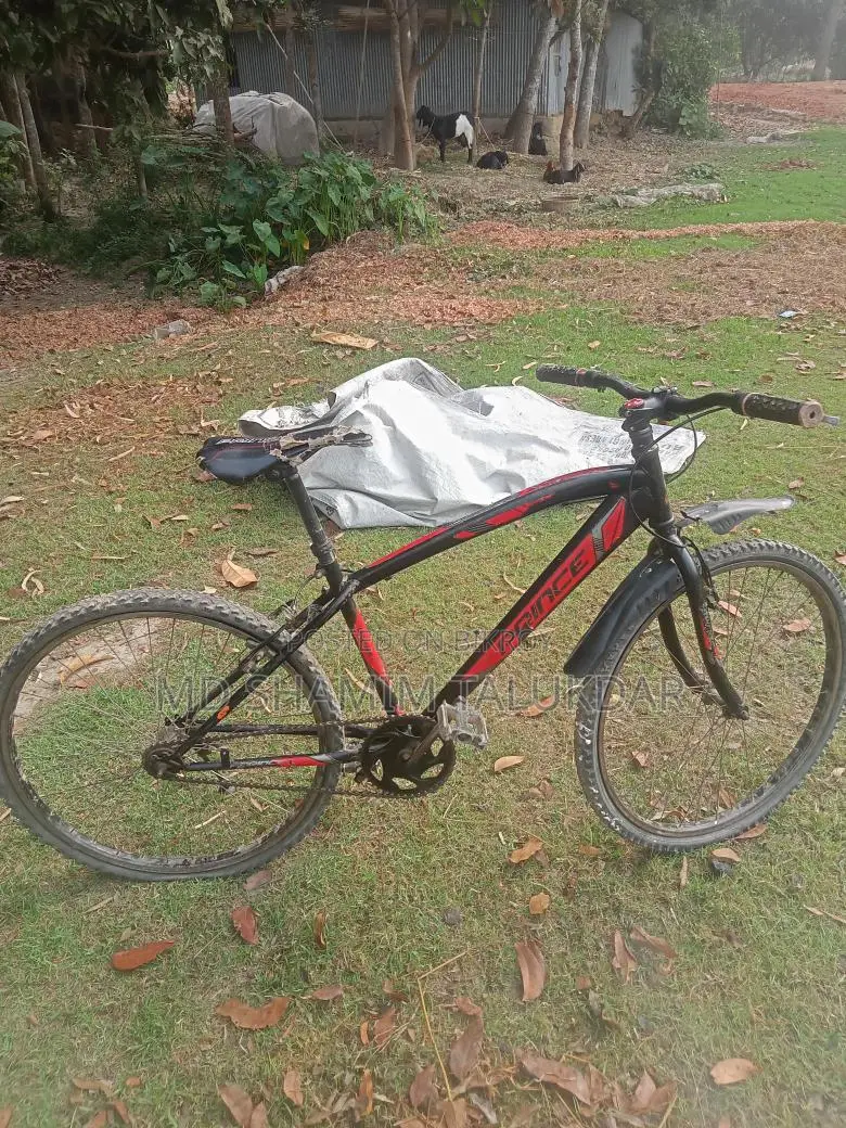 Bicycle for sale