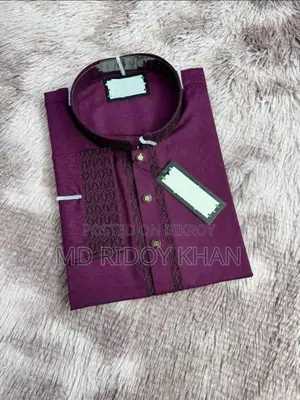 Sequence Embroidery Panjabi