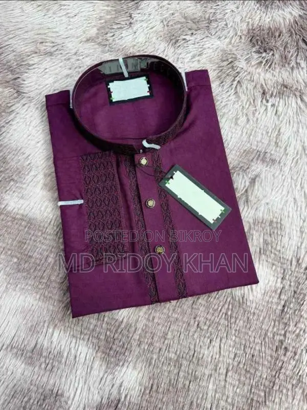 Sequence Embroidery Panjabi