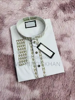 Sequence Embroidery Panjabi