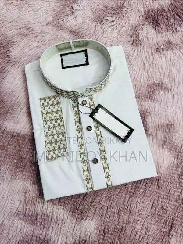 Sequence Embroidery Panjabi