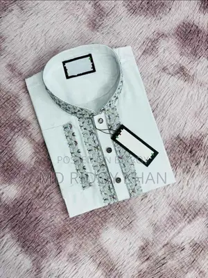 Sequence Embroidery Panjabi