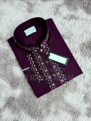 Sequence Embroidery Panjabi