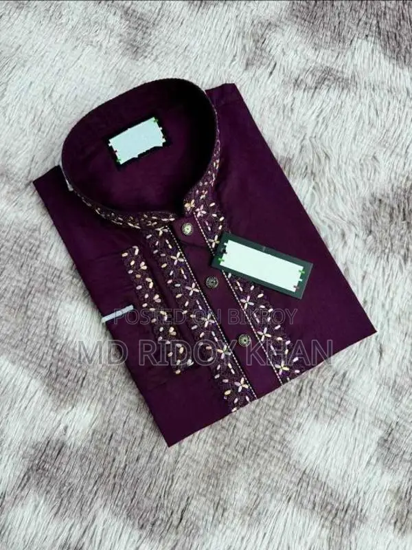 Sequence Embroidery Panjabi