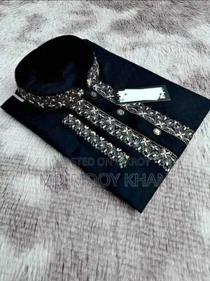 Sequence Embroidery Panjabi